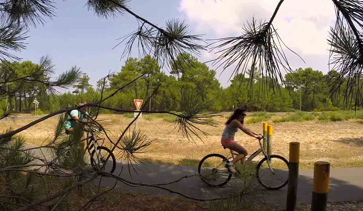 Le Soleil d'Or Aquitanien - Vendays-Montalivet visuel 3/5