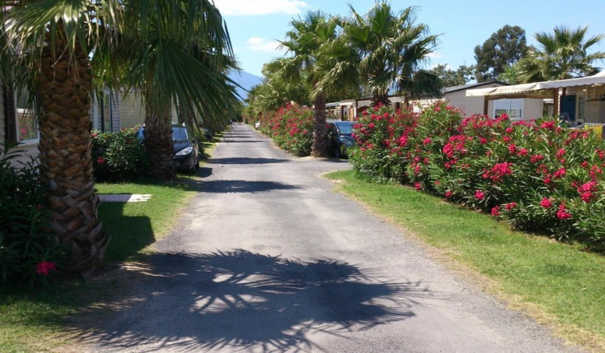 Le Soleil de la Méditerranée Languedoc-Roussillon - Saint-Cyprien visuel 11/20