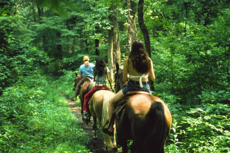 Le Soline Toskana - Casciano visuel 6/9