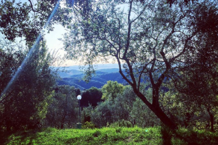 Le Soline Toskana - Casciano visuel 8/9