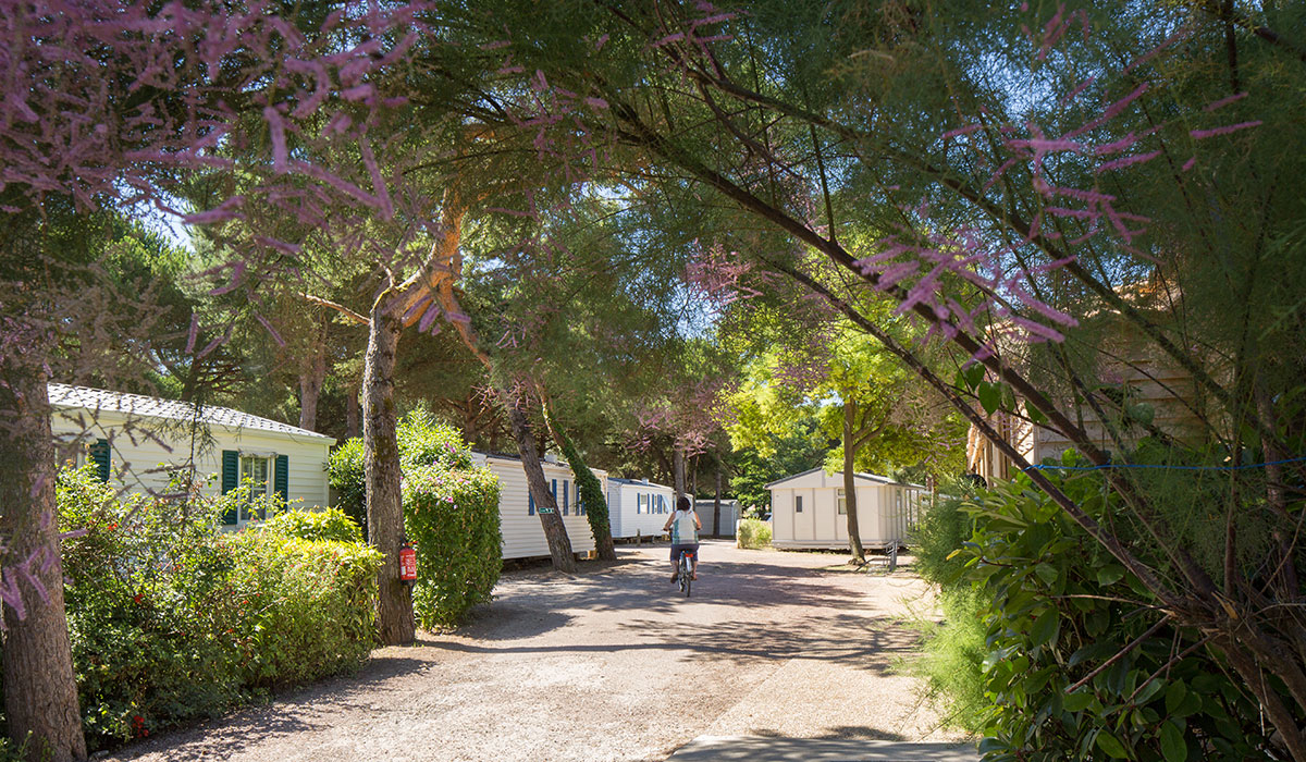 Le Suroît Poitou-Charentes - Le Bois-Plage-en-Ré visuel 3/14