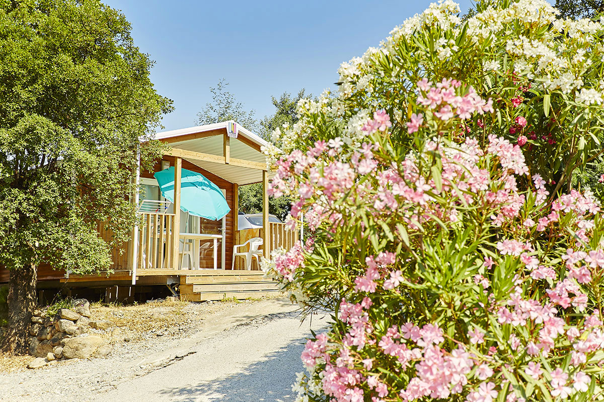 Les Albères Languedoc-Roussillon - Laroque-des-Albères visuel 16/31 Les Albères Languedoc-Roussillon - Laroque-des-Albères visuel 16/31