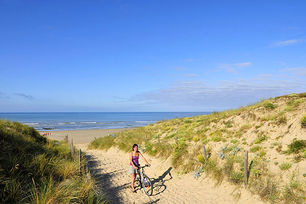 Les Amis de la Plage Poitou-Charentes - Le Bois-Plage-en-Ré visuel 5/19