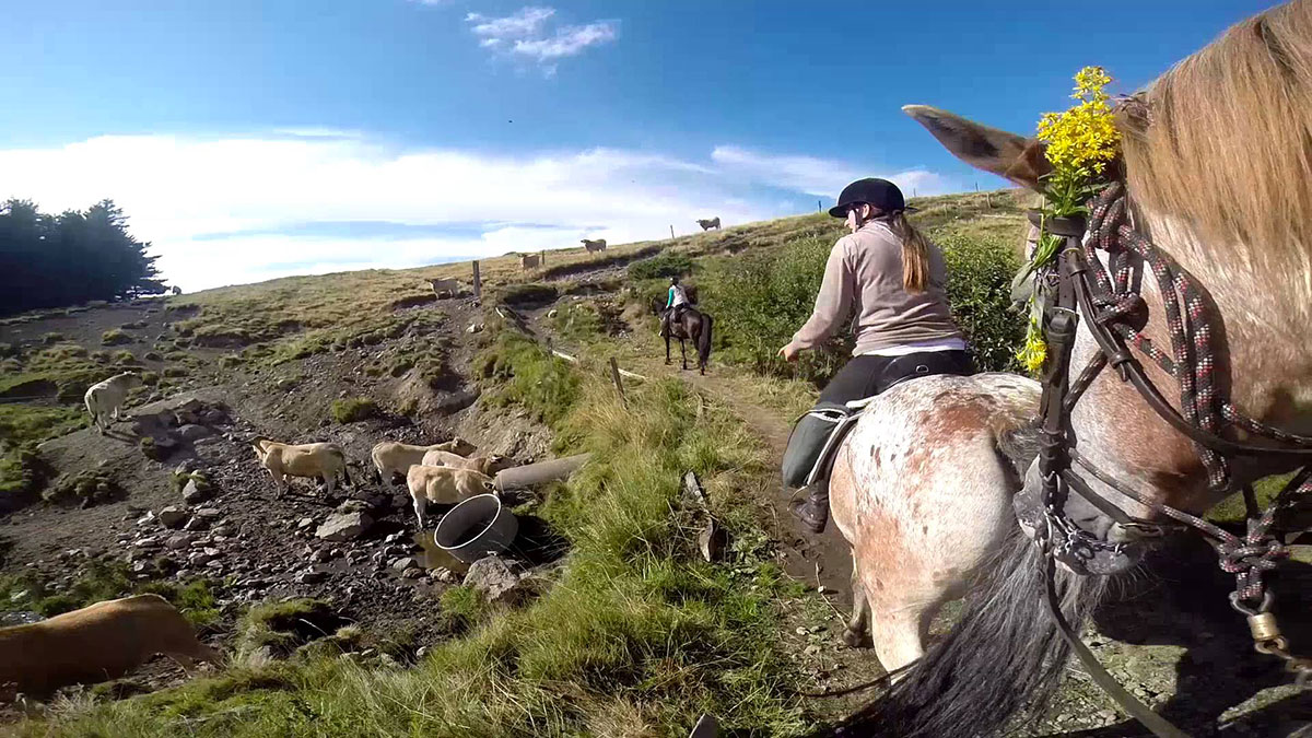 Les Aurandeix Auvergne - Tauves visuel 3/12 Les Aurandeix Auvergne - Tauves visuel 3/12