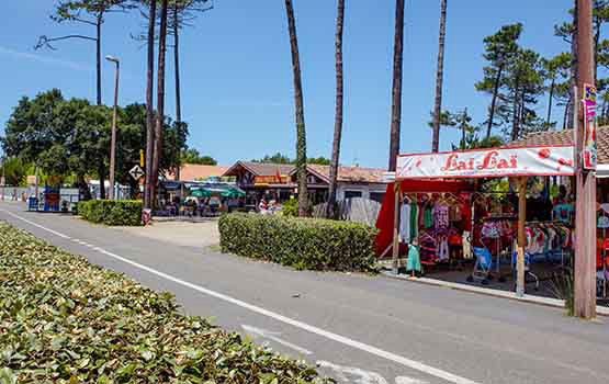 Les Cigales Aquitanien - Moliets-et-Maa visuel 8/10