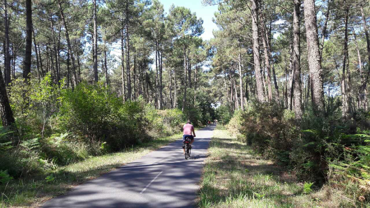 Les Cigales Aquitanien - Moliets-et-Maa visuel 7/10
