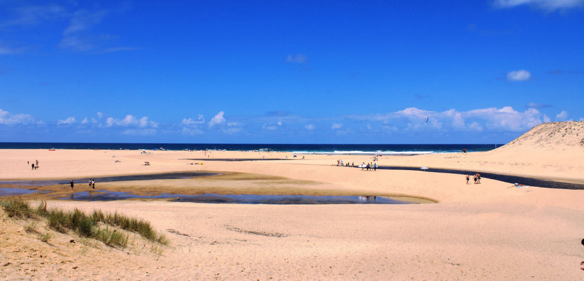 Les Cigales Aquitanien - Moliets-et-Maa visuel 2/10
