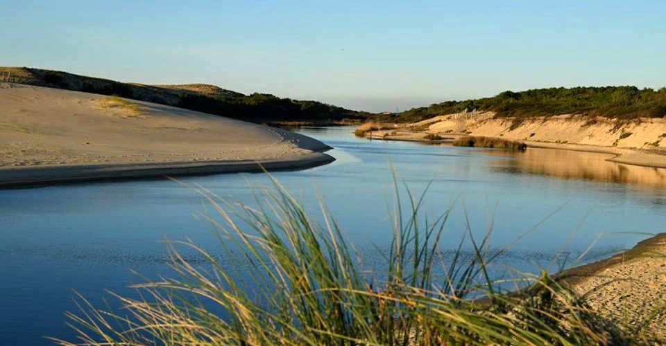 Les Cigales Aquitanien - Moliets-et-Maa visuel 6/10