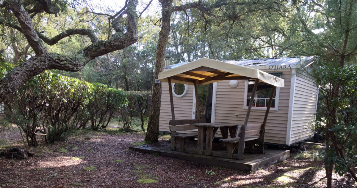 Les Cigales Aquitanien - Moliets-et-Maa visuel 4/10