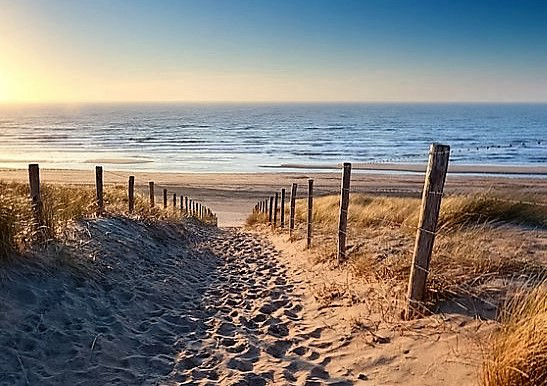 Les Cigales Aquitanien - Moliets-et-Maa visuel 10/10