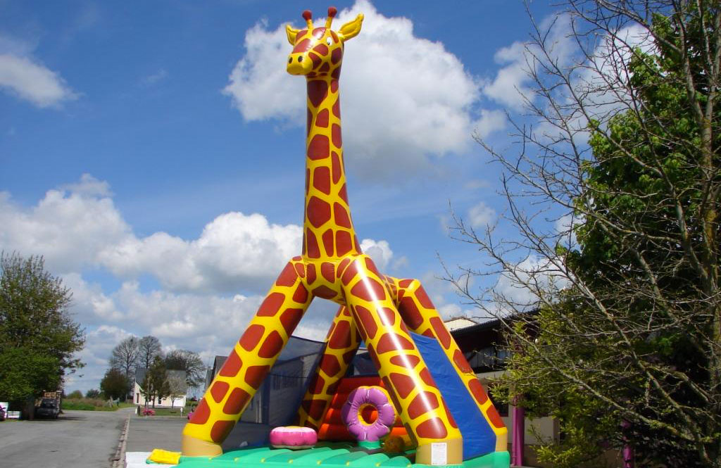 Les Coques d’Or Basse-Normandie - Genêts visuel 5/16