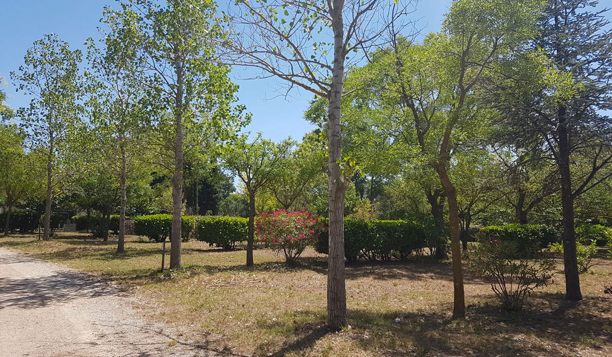 Les Cottages de Saint André Languedoc-Roussillon - Saint-André-de-Sangonis visuel 4/7