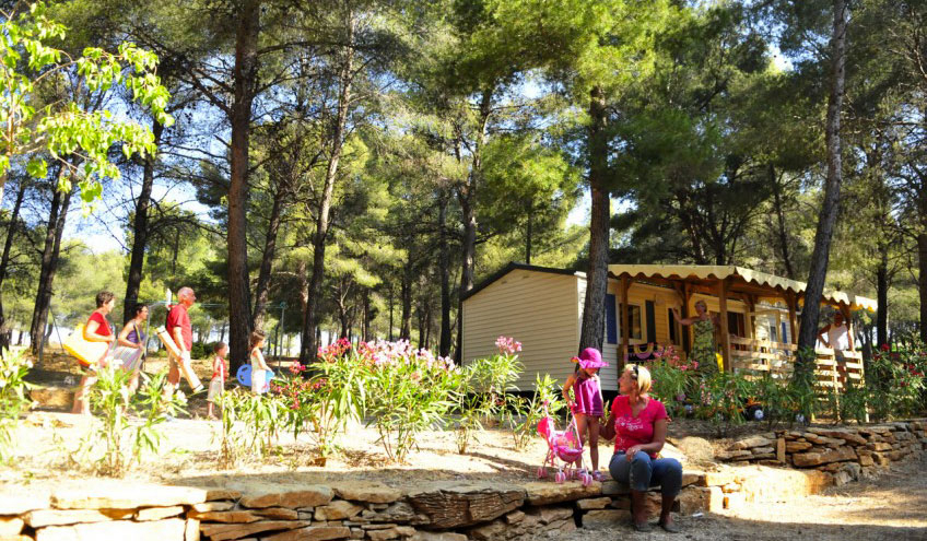 Les Dauphins Provence-Alpes-Côte d'Azur - Saint-Cyr-sur-Mer visuel 1/4 Les Dauphins Provence-Alpes-Côte d'Azur - Saint-Cyr-sur-Mer visuel 1/4