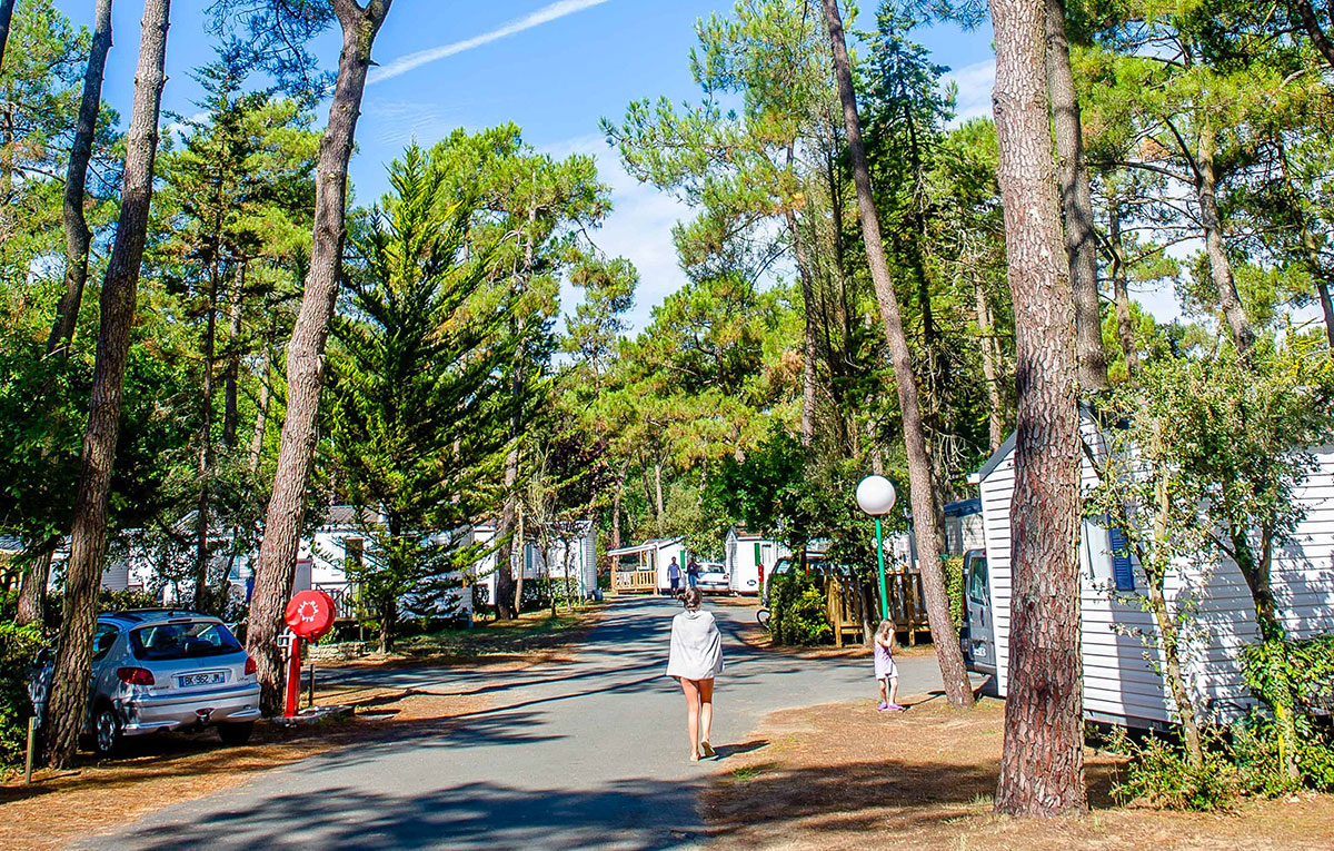 Les Dunes Das Loire-Gebiet - Longeville sur Mer visuel 5/12