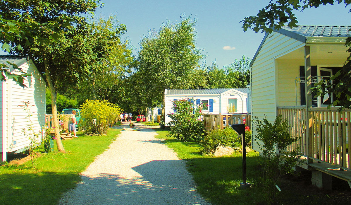 Les Genets Bretagne - Penmarc'h visuel 4/4 Les Genets Bretagne - Penmarc'h visuel 4/4