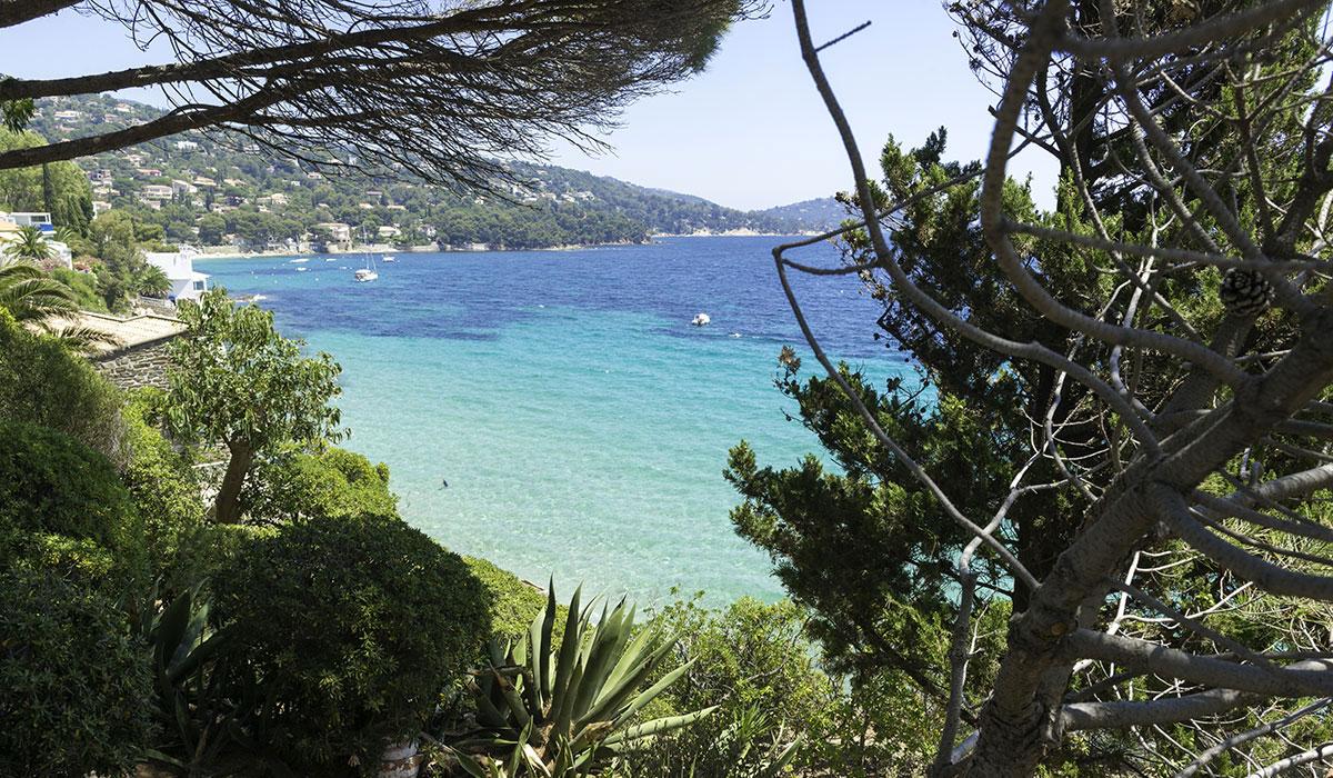 Les Mimosas Provence-Alpes-Côte d'Azur - Le Lavandou visuel 2/7 Les Mimosas Provence-Alpes-Côte d'Azur - Le Lavandou visuel 2/7