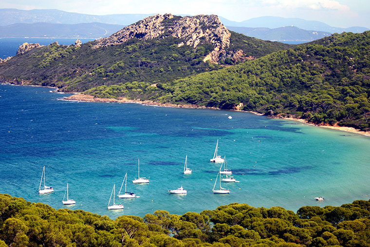 Les Mimosas Provence-Alpes-Côte d'Azur - Le Lavandou visuel 6/7 Les Mimosas Provence-Alpes-Côte d'Azur - Le Lavandou visuel 6/7