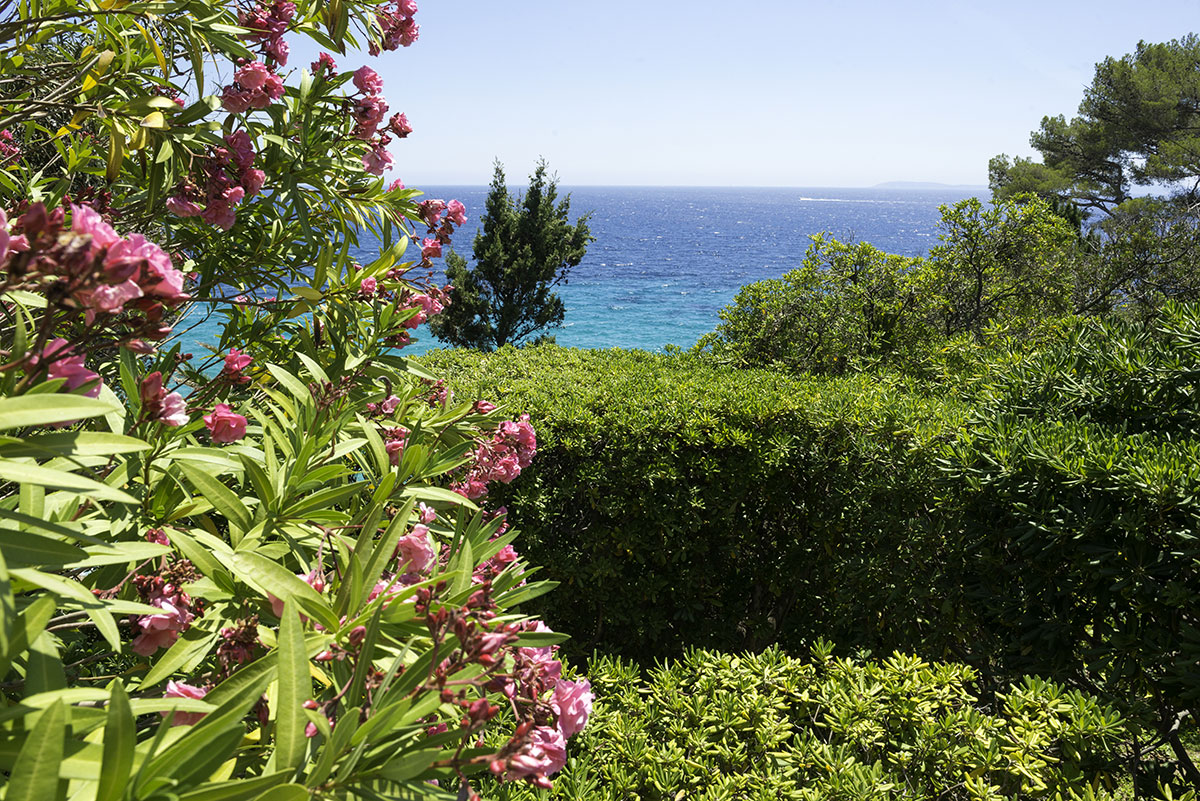 Les Mimosas Provence-Alpes-Côte d'Azur - Le Lavandou visuel 4/7 Les Mimosas Provence-Alpes-Côte d'Azur - Le Lavandou visuel 4/7