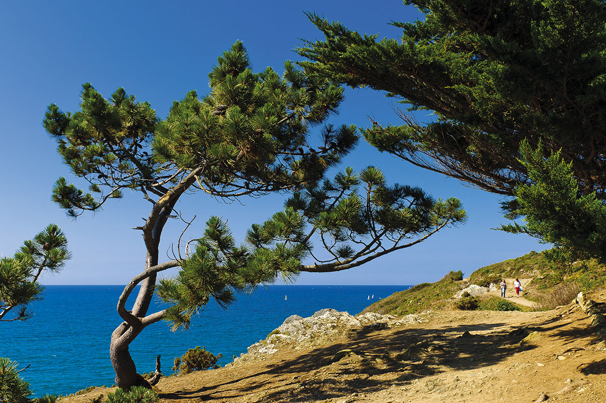 Val-André Bretagne - Pléneuf-Val-André visuel 11/17