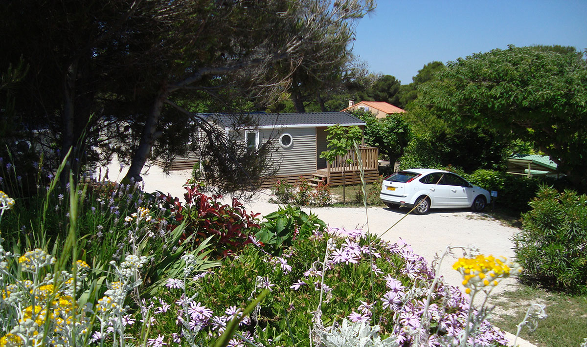 Les Mouettes Provence-Alpes-Côte d'Azur - La Couronne - Ste Croix visuel 4/8