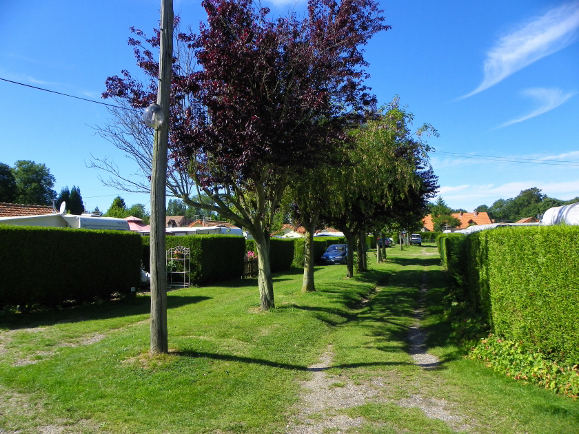 Les Moutons Haute-Normandie - Blosseville visuel 1/1 Les Moutons Haute-Normandie - Blosseville visuel 1/1