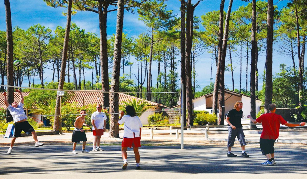 Les Oyats Aquitanien - Seignosse visuel 7/21 Les Oyats Aquitanien - Seignosse visuel 7/21
