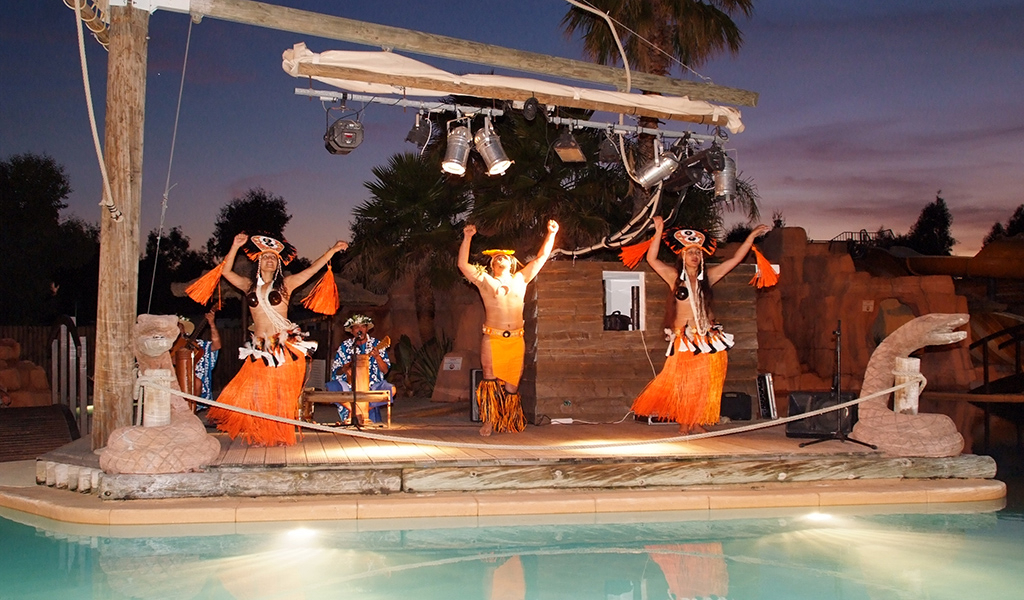 Les Palmiers Provence-Alpes-Côte d'Azur - Hyères visuel 3/9 Les Palmiers Provence-Alpes-Côte d'Azur - Hyères visuel 3/9