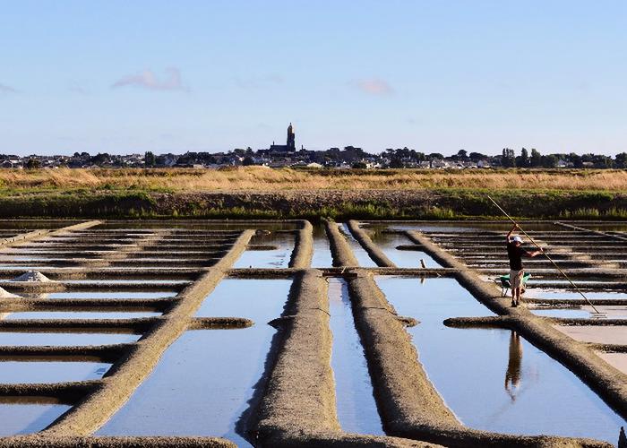 Les Paludiers Das Loire-Gebiet - Batz-sur-Mer visuel 7/10