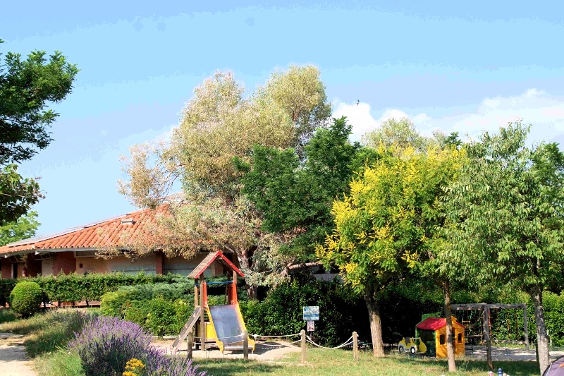 Les Pins Provence-Alpes-Côte d'Azur - Les Salles-sur-Verdon visuel 4/10 Les Pins Provence-Alpes-Côte d'Azur - Les Salles-sur-Verdon visuel 4/10