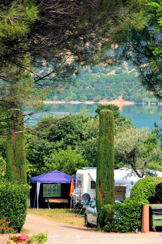 Les Pins Provence-Alpes-Côte d'Azur - Les Salles-sur-Verdon visuel 10/10 Les Pins Provence-Alpes-Côte d'Azur - Les Salles-sur-Verdon visuel 10/10