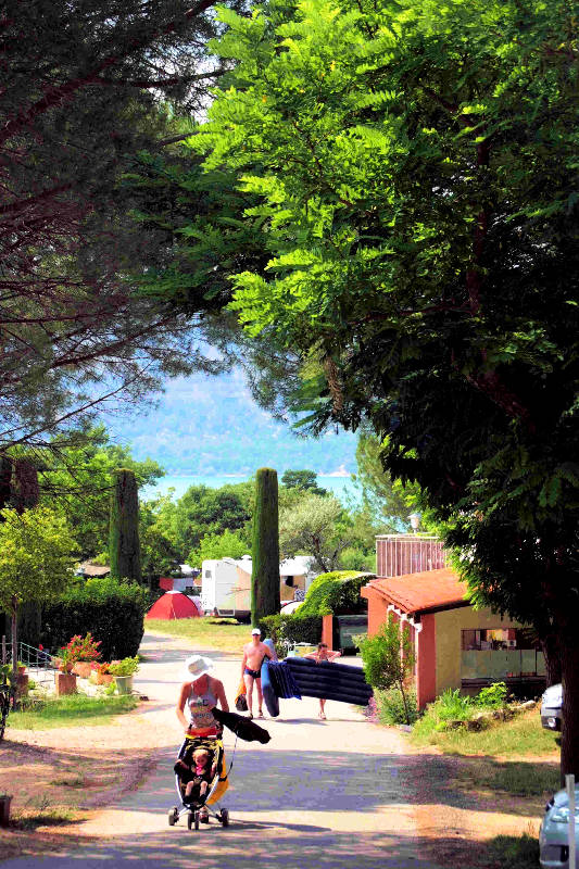 Les Pins Provence-Alpes-Côte d'Azur - Les Salles-sur-Verdon visuel 8/10 Les Pins Provence-Alpes-Côte d'Azur - Les Salles-sur-Verdon visuel 8/10