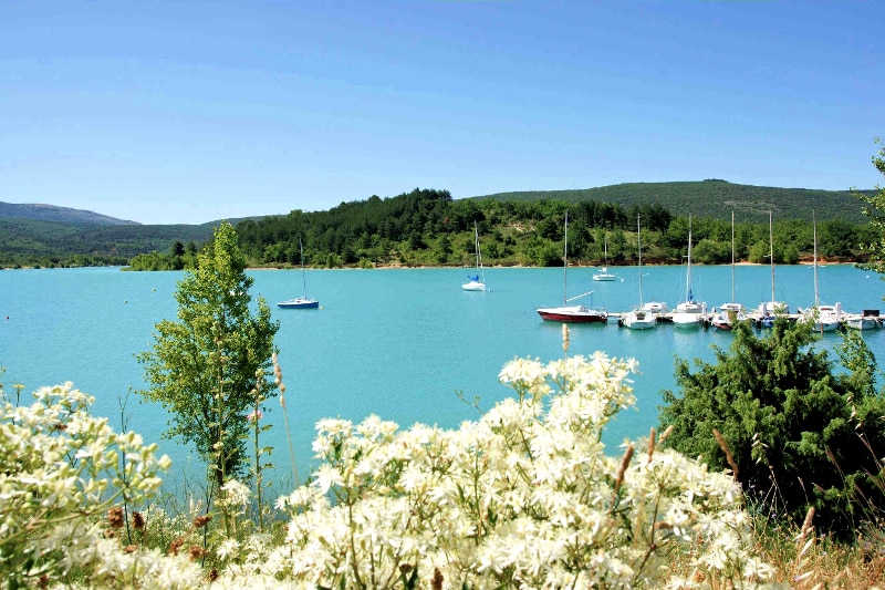 Les Pins Provence-Alpes-Côte d'Azur - Les Salles-sur-Verdon visuel 6/10 Les Pins Provence-Alpes-Côte d'Azur - Les Salles-sur-Verdon visuel 6/10