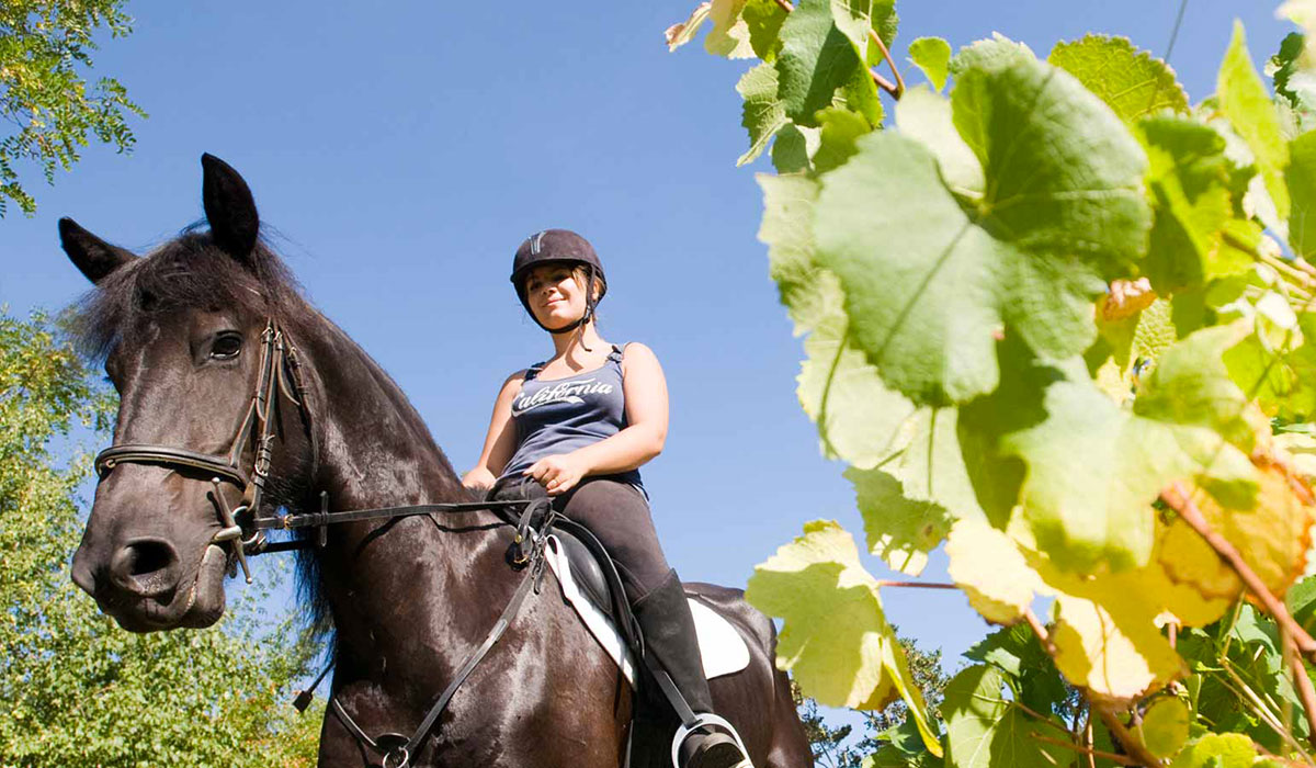 Les Plages de l'Ain Rhône-Alpen - Saint-Maurice-de-Gourdans visuel 6/7 Les Plages de l'Ain Rhône-Alpen - Saint-Maurice-de-Gourdans visuel 6/7
