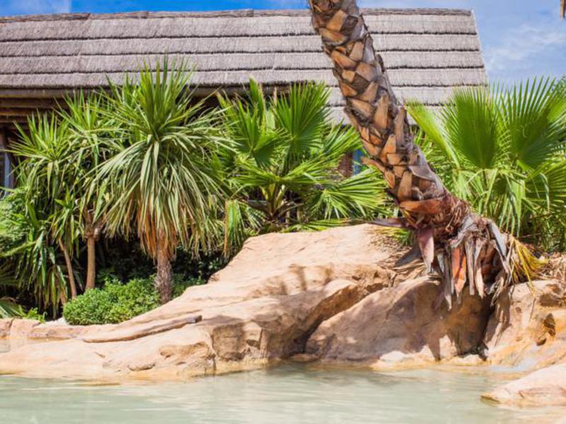 Les Prairies de la Mer Provence-Alpes-Côte d'Azur - Port grimaud visuel 10/26 Les Prairies de la Mer Provence-Alpes-Côte d'Azur - Port grimaud visuel 10/26