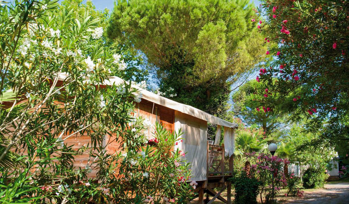 Les Pêcheurs Provence-Alpes-Côte d'Azur - Roquebrune-sur Argens visuel 5/21