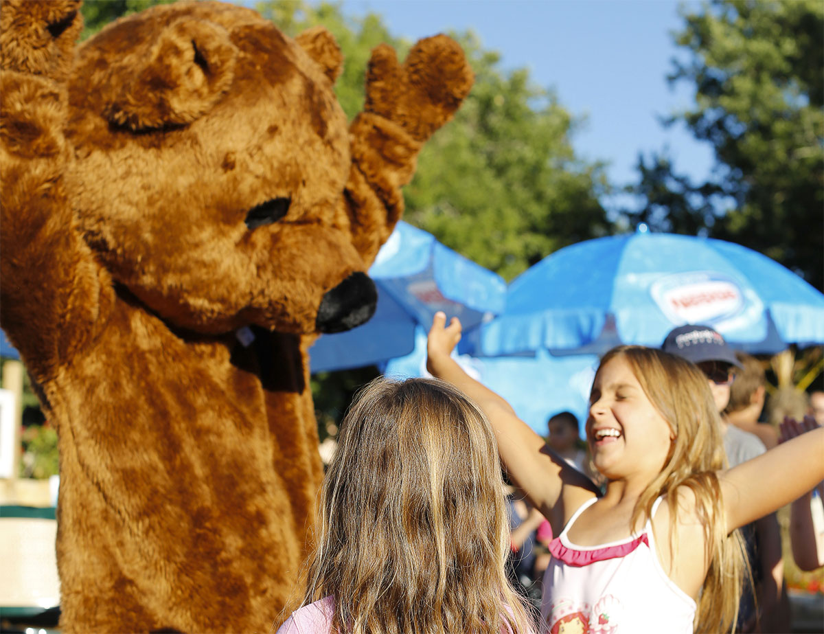 Les Reflets du Quercy Midi-Pyrénées - Crayssac visuel 13/20