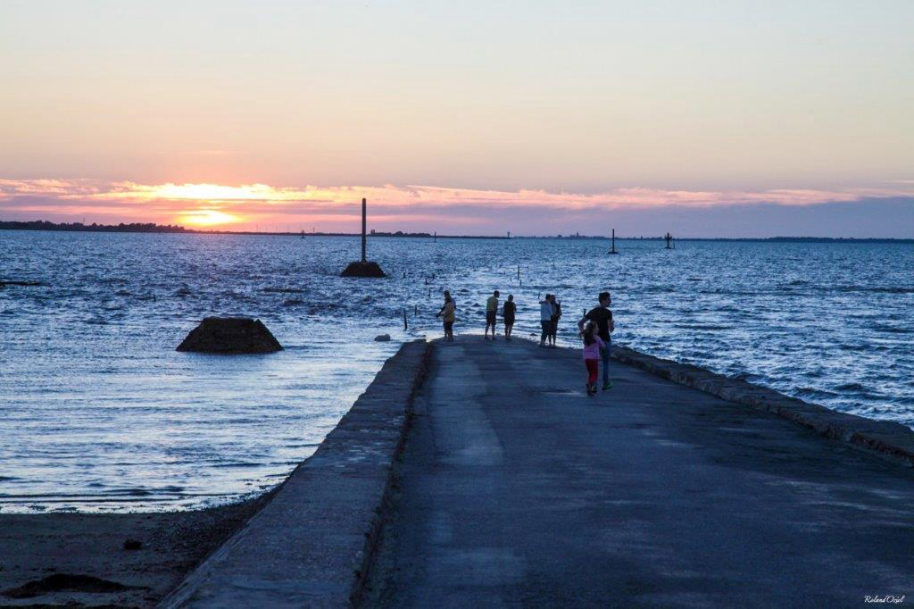 Les Roussieres Das Loire-Gebiet - Noirmoutier-en-l'Île visuel 8/8 Les Roussieres Das Loire-Gebiet - Noirmoutier-en-l'Île visuel 8/8