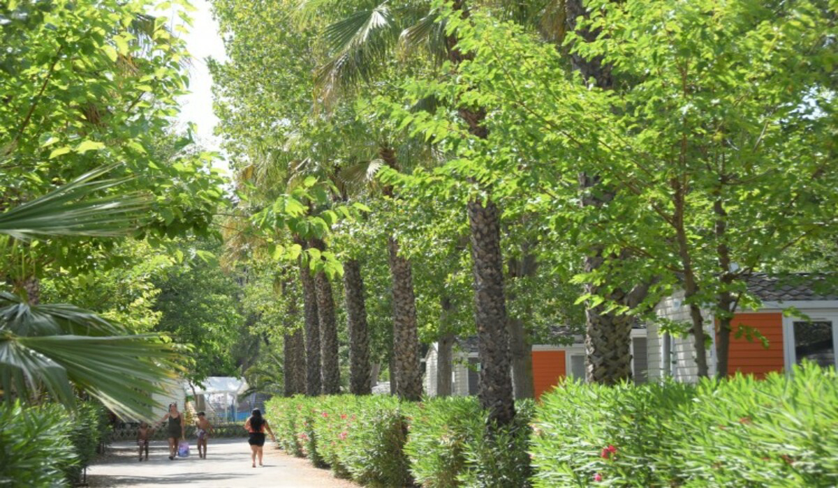 Les Salisses Languedoc-Roussillon - Vias visuel 4/9 Les Salisses Languedoc-Roussillon - Vias visuel 4/9