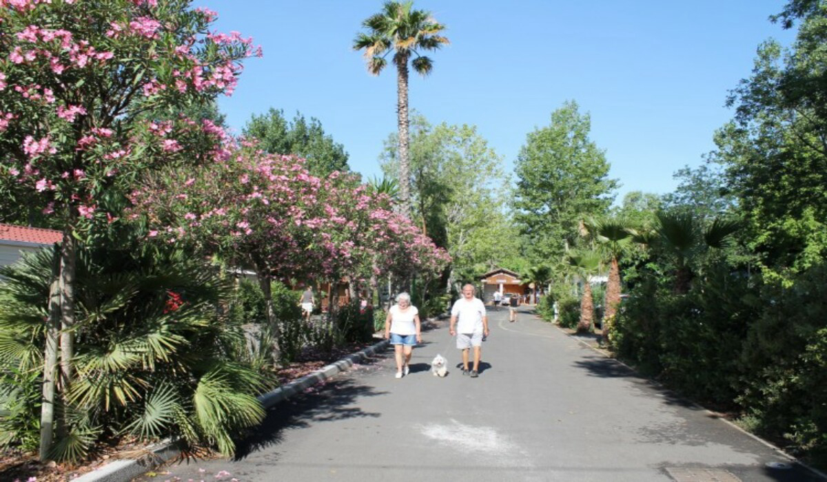 Les Salisses Languedoc-Roussillon - Vias visuel 8/9 Les Salisses Languedoc-Roussillon - Vias visuel 8/9