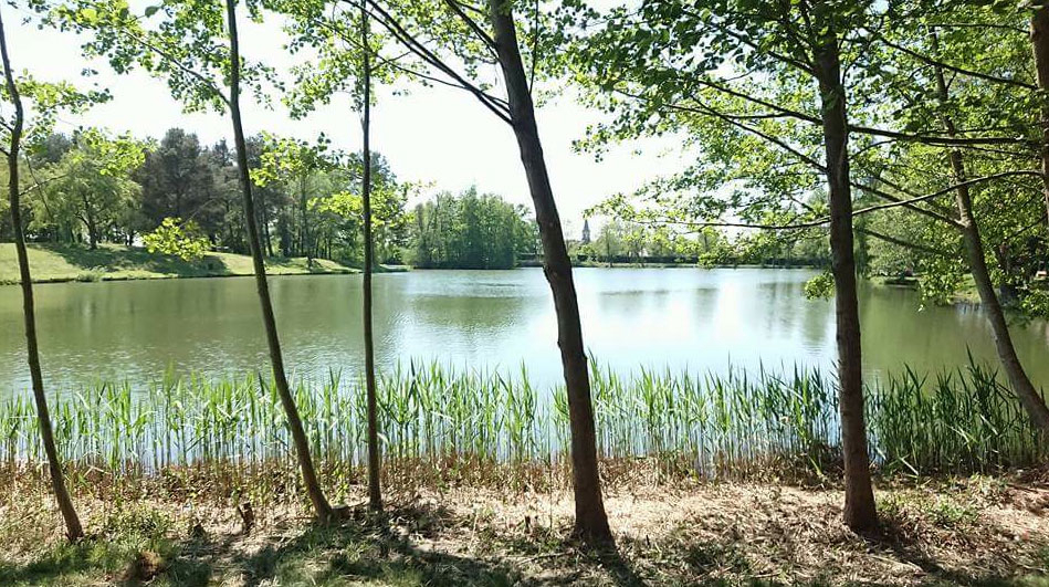 Les Sapins Elsass - Keskastel visuel 1/4 Les Sapins Elsass - Keskastel visuel 1/4