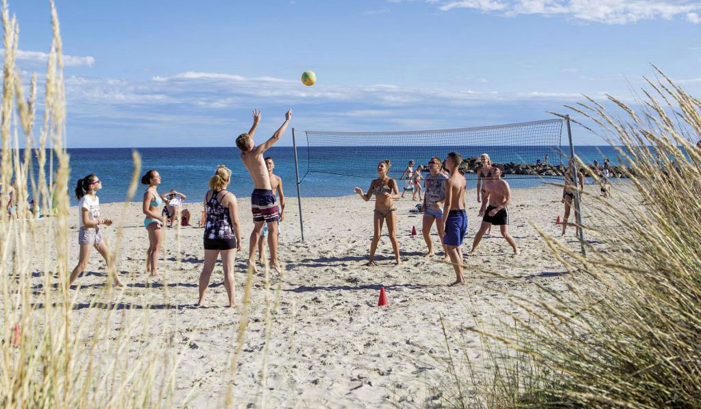 Les Tamaris Languedoc-Roussillon - Frontignan visuel 17/17 Les Tamaris Languedoc-Roussillon - Frontignan visuel 17/17