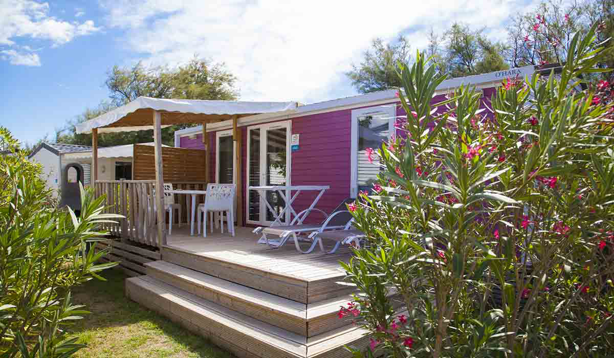 Les Tamaris Languedoc-Roussillon - Frontignan visuel 11/17 Les Tamaris Languedoc-Roussillon - Frontignan visuel 11/17