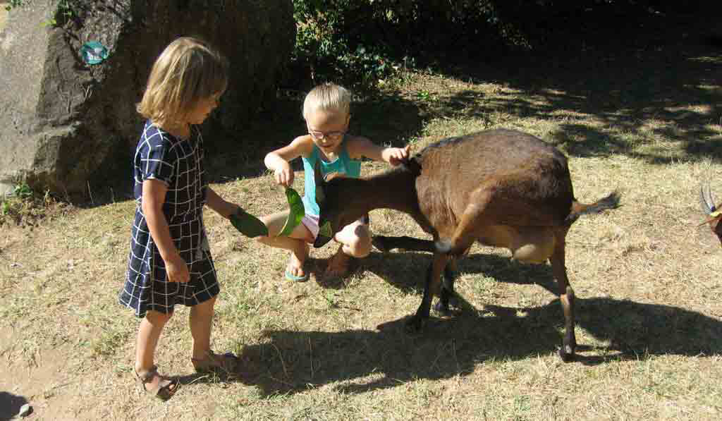 Les Tomasses Provence-Alpes-Côte d'Azur - Belgentier visuel 6/8 Les Tomasses Provence-Alpes-Côte d'Azur - Belgentier visuel 6/8