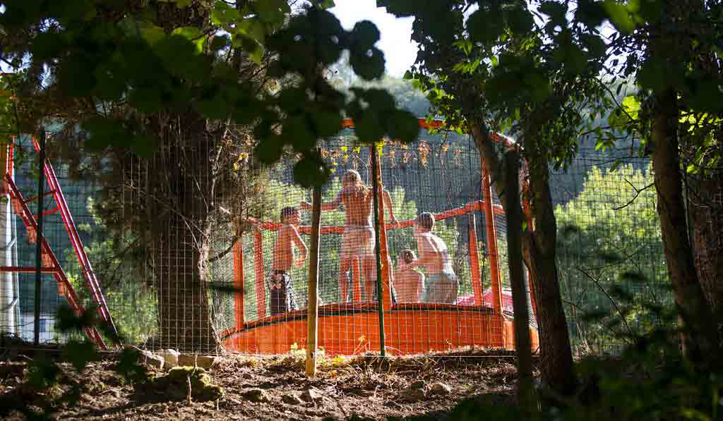 Les Tomasses Provence-Alpes-Côte d'Azur - Belgentier visuel 2/8 Les Tomasses Provence-Alpes-Côte d'Azur - Belgentier visuel 2/8