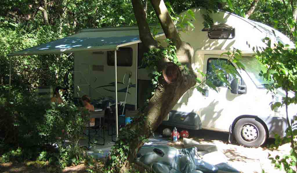 Les Tomasses Provence-Alpes-Côte d'Azur - Belgentier visuel 5/8 Les Tomasses Provence-Alpes-Côte d'Azur - Belgentier visuel 5/8