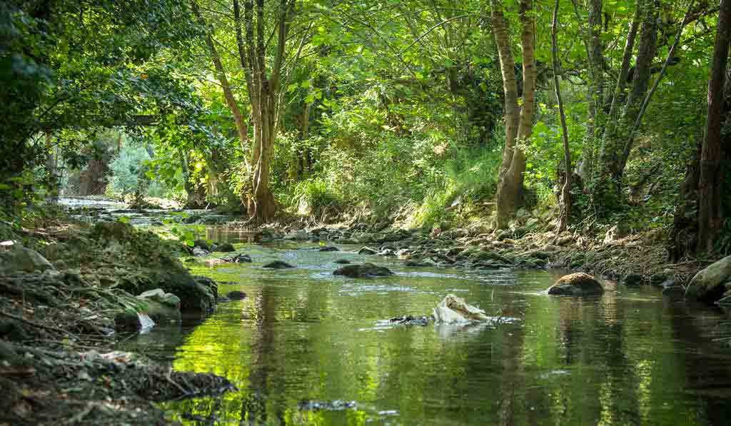 Les Tomasses Provence-Alpes-Côte d'Azur - Belgentier visuel 8/8 Les Tomasses Provence-Alpes-Côte d'Azur - Belgentier visuel 8/8