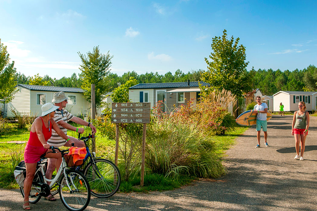 Les Vignes Aquitanien - Lit-et-Mixe visuel 7/22