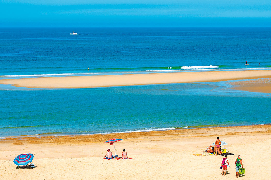 Les Vignes Aquitanien - Lit-et-Mixe visuel 6/22