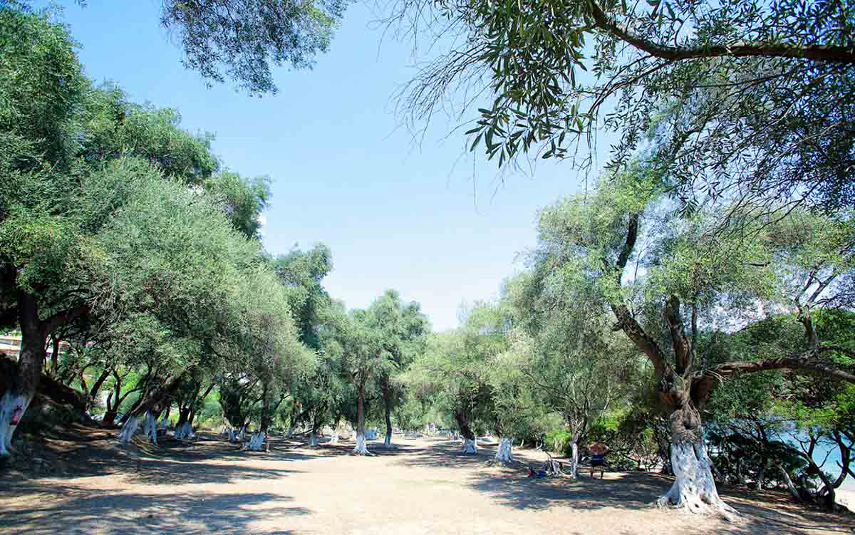 Lichnos Epirus - Parga visuel 2/3