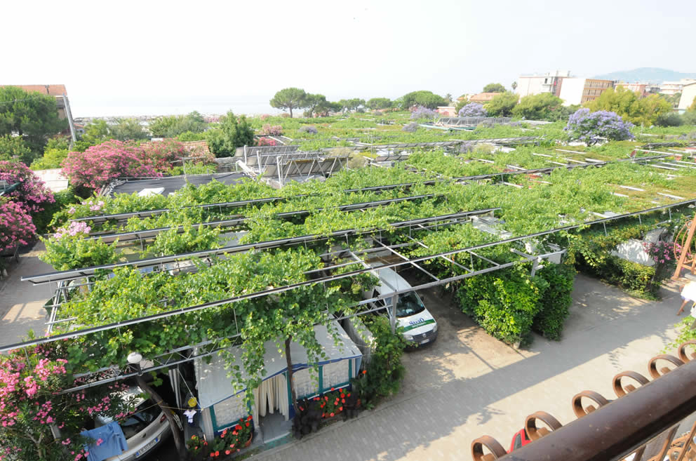 Lino Ligurien - Cervo visuel 3/3 Lino Ligurien - Cervo visuel 3/3